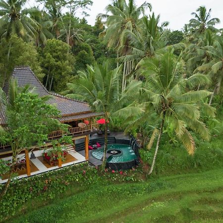 Masakali Retreat Hotel Ubud Kültér fotó