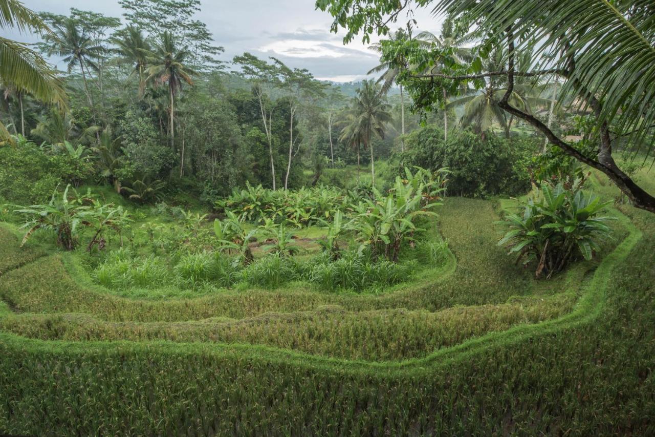 Masakali Retreat Hotel Ubud Kültér fotó